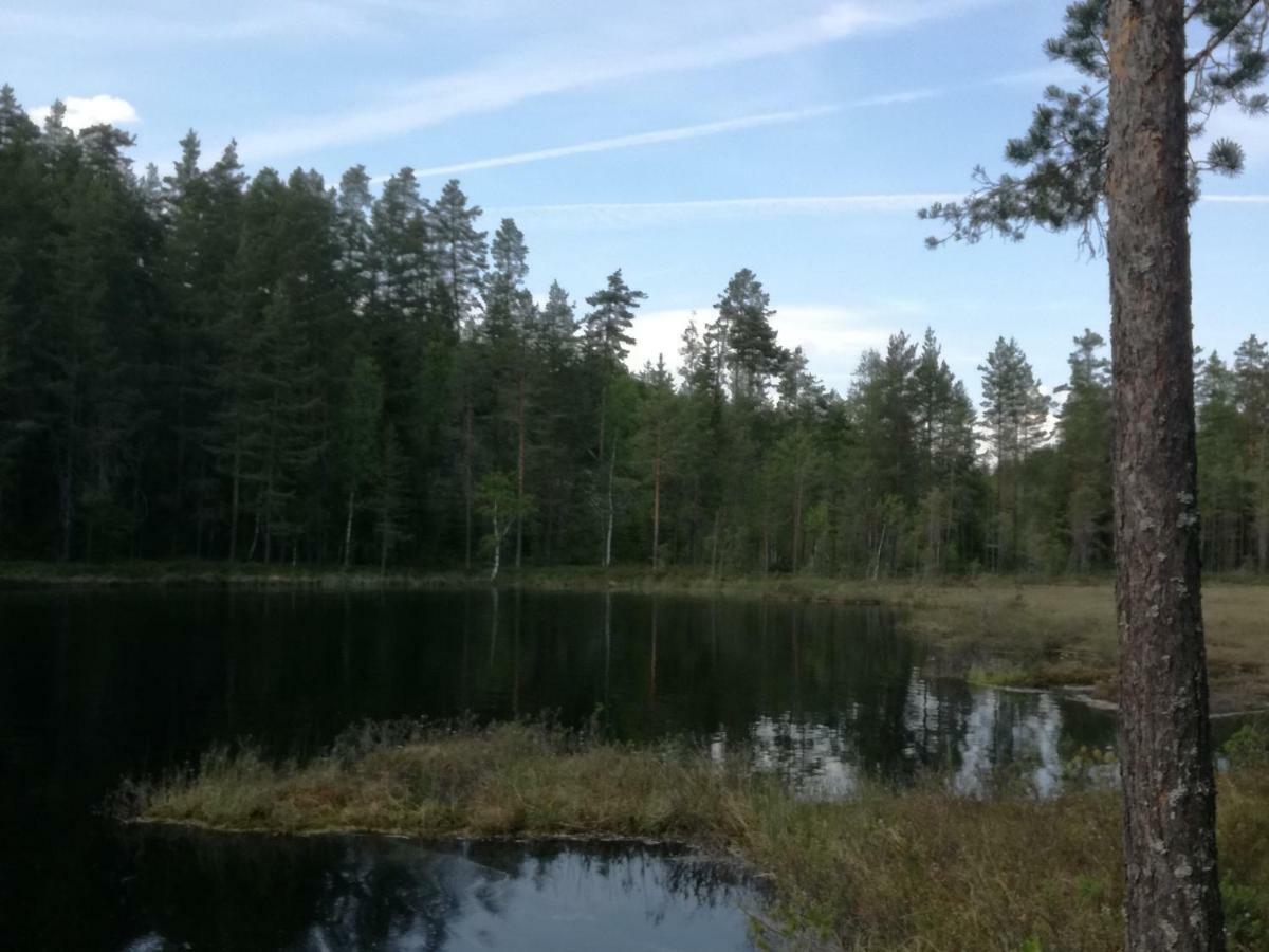 Presterudveien 125 Vikersund Ngoại thất bức ảnh