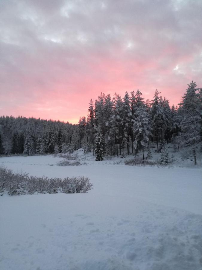 Presterudveien 125 Vikersund Ngoại thất bức ảnh