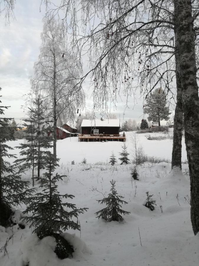 Presterudveien 125 Vikersund Ngoại thất bức ảnh