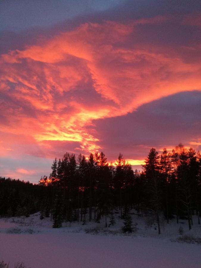 Presterudveien 125 Vikersund Ngoại thất bức ảnh