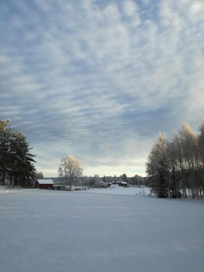Presterudveien 125 Vikersund Ngoại thất bức ảnh